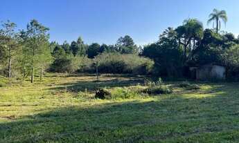 Imagem 7: Sítio Plano E Com Nascente Para Fazer Açude. ROB:608