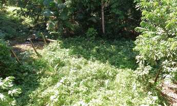 Imagem 6: Casa para venda possui 64 metros quadrados com 2 quartos em Cidade de Deus - Manaus - AM