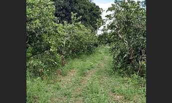 Imagem 5: R$120.000 Chácara com venda por R$120.000