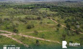 Imagem 4: Fazenda as margens da BR-010