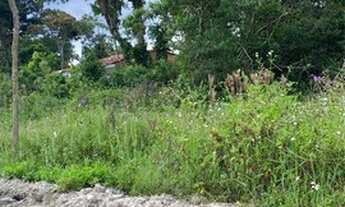 Imagem 2: Terreno em Matinhos