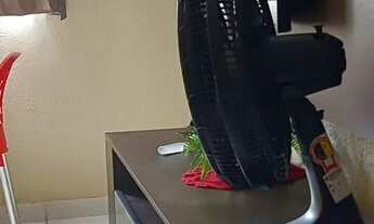 Imagem 3: Alugo Casa com 1 dormitório