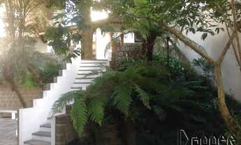 Imagem: Novo Hamburgo - Apartamento Padrão - Centro