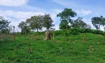 Imagem 4: CHÁCARA NA ESTRADA PARA VALADARES