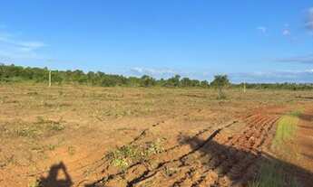Imagem 2: Fazenda em novo acordo Tocantins