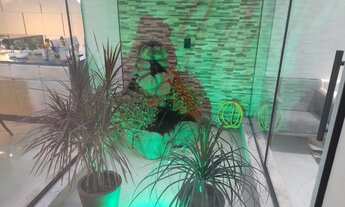 Imagem 7: Casa - Locação - Centro - Cod. 9459