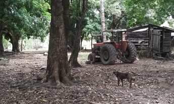 Imagem 2: Fazenda Goiás São João da Aliança