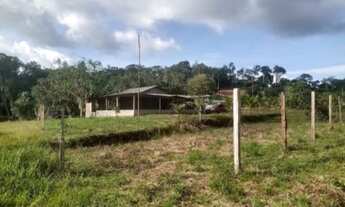 Imagem: Vendo Sitio na Br 174, Km 28 Ramal do Hollywood