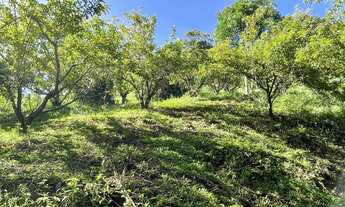 Imagem 3: Terreno Terreno / lote com venda por R$370.000