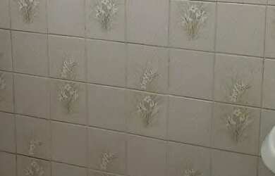 Imagem 3: Casa 1 quarto Casa com 1 dormitório