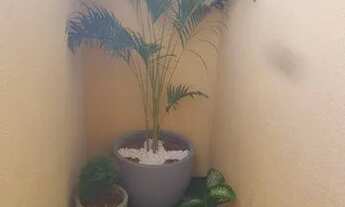 Imagem 3: Flat cohama temporada