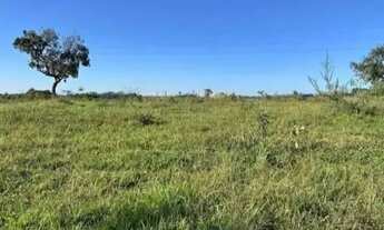 Imagem: 2 Alqueires sem benfeitoria com energia