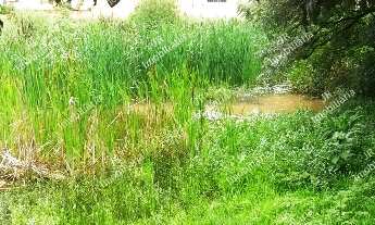 Imagem 7: Excelente Chácara