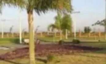 Imagem 6: Condomínio Alphaville /Terreno/Nascente