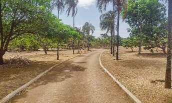 Imagem 2: Excelente chácara rua 07