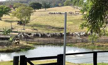 Imagem 2: Fazenda à venda 132 alqueires em Goiás-GO