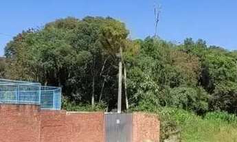 Imagem 7: Chácara à venda, com 70153 m2, em SAO JOSE DOS PINHAIS - PR