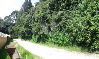 Imagem 4: Terreno à venda em Roseira - SP