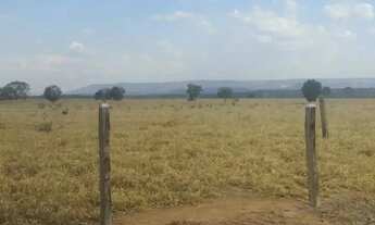 Imagem: Fazenda à Venda em Bom Jardim - GO