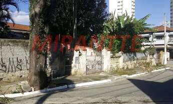 Imagem 5: Terreno em Vila Barreto