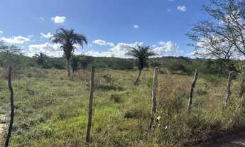 Imagem: Oportunidade localização privilegiada