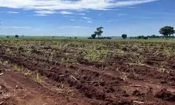 Imagem 2: Fazenda 178 alqueires região de inaciolândia-GO