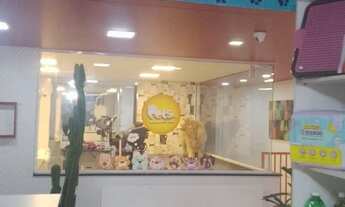 Imagem 5: Alugo ou Passo o Ponto Banho e Tosa + Consultório Veterinário - Bela Vista/Centro 90m²