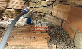 Imagem 5: Chácara 1 alqueire ( 48.400 metros) Bonfinópolis - GO