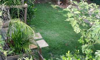 Imagem 2: Casa junto com chácara no mesmo lote