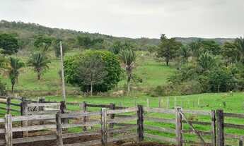 Imagem 3: Fazenda em Campinaçu-Go de 201.9 alqueires