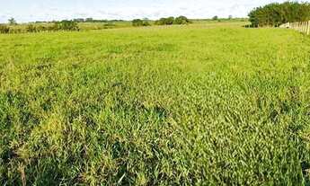 Imagem 6: ÁREA 34.272 M². ESTRADA DO BREJO GRANDE