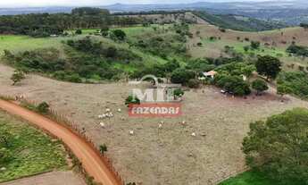 Imagem 4: Chácara 1 alqueire ( 48.400 metros) Bonfinópolis - GO