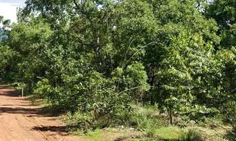 Imagem 6: Chácara 2.520 m² - 10 km de Palmas - Energia e Água - Oportunidade!