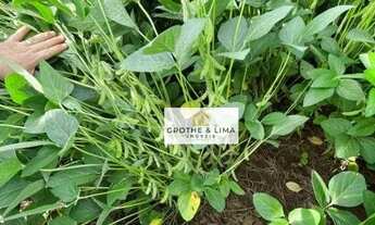 Imagem 5: Vendo fazenda de dupla aptidão à venda no município de Monte do Carmo/TO