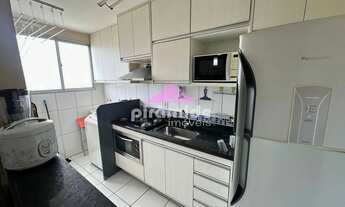 Imagem 7: Apartamento no Palmeiras de São José no Condomínio Spazio Campo Di Bragança em São José do