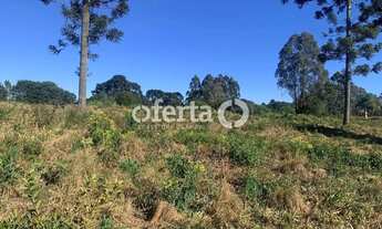 Imagem 4: Terreno no Costeira / Araucária - 23.222m2