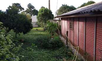 Imagem 4: Chácara em Estrada da Roseira - Roseira de São Sebastião - São José dos Pinhais/PR