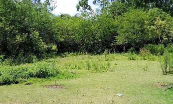 Imagem 3: Vende-se Terrenos