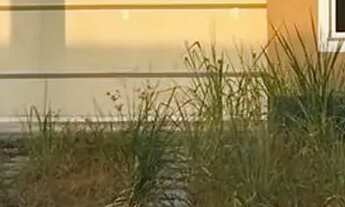 Imagem: PASSO CHAVE CIDADE JARDIM CASA EM CONDOMÍNIO