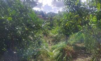 Imagem 2: Vende - se casa R$30 mil . (20 mil de entrada e parcela o restante