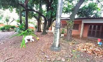 Imagem 3: Terreno no bairro Igara