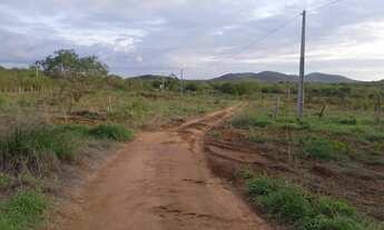 Imagem: Vende-se 4 tarefas de terra