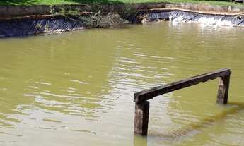 Imagem 5: Chacara de Lazer com 9.000 Mt2 Beira Rio Anicuns - Go