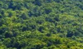 Imagem 2: Lotes para venda na região de Ibiúna - SP interior