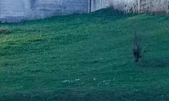 Imagem: Terreno no Country Club Itatiba