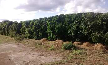 Imagem 2: Fazenda Campo Alegre com 129 ha, em Piatã-Bahia, Chapada Diamantina
