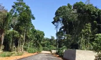 Imagem 4: Tranferencia lote 1650m Nas Chacaras RioNegro já pode construir