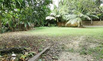 Imagem 5: Terreno / 1.200m² / Bairro Flores