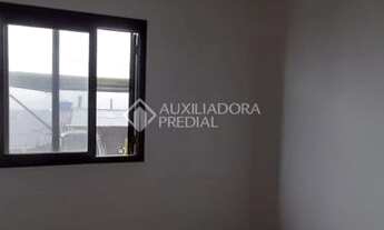 Imagem 5: CANELA - Padrão - Dante