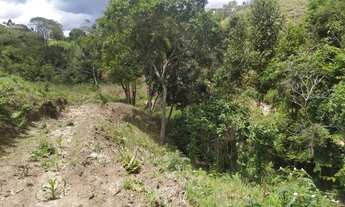 Imagem 7: Excelente chácara a venda em Delfim Moreira sul de Minas Gerais